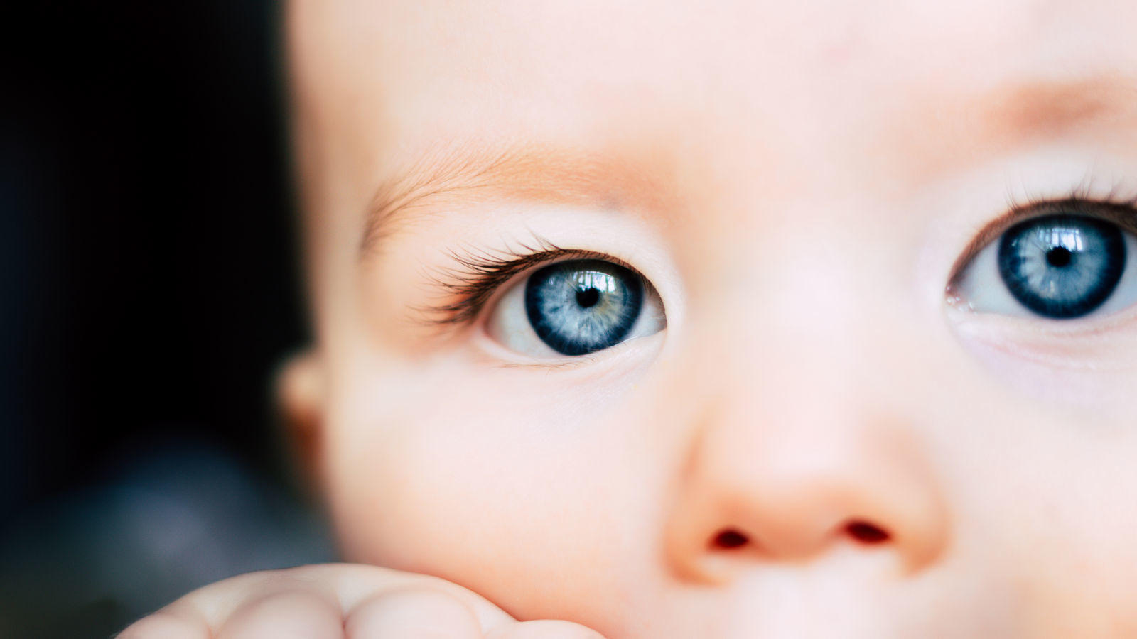 маленький ребенок с миопией смотрит внимательно серые глаза
